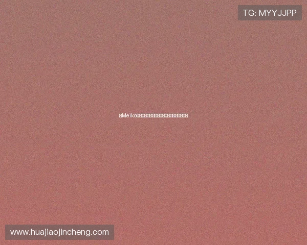 以Meiko为核心解析辅助战术思路与团队协作制胜关键