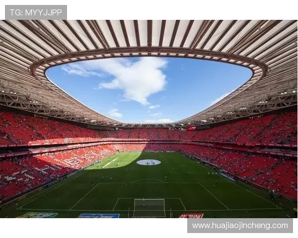 足球的魅力与挑战：从球场竞技到全球文化现象的多维探讨