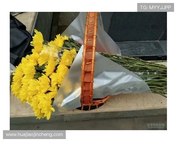 北京羽毛球队逆袭之旅揭秘世界杯背后的奋斗与荣耀 北京羽毛球队逆袭之旅揭秘世界杯背后的奋斗与荣耀