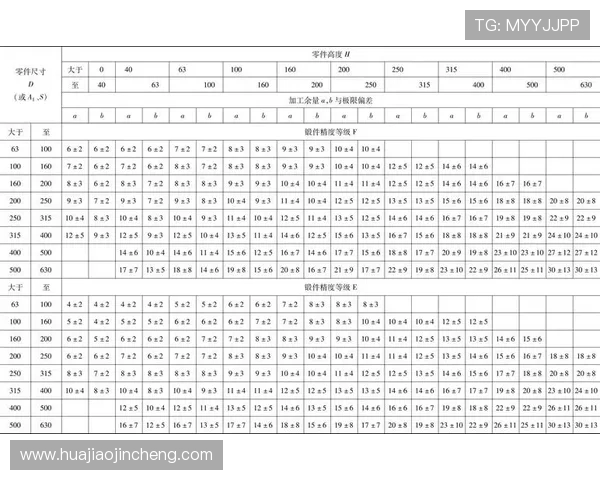 北京飞盘队节奏表现分析与战术优化探讨 北京飞盘队节奏表现分析与战术优化探讨